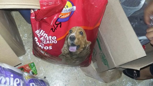 Sin Nombre